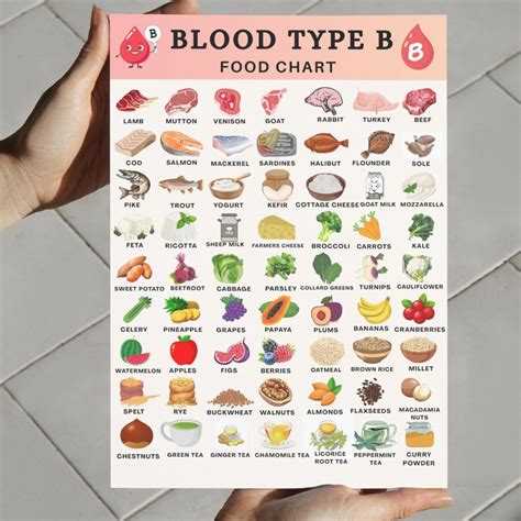Blood Type B Food List, Blood Group B Chart, Food Choices for Blood ...