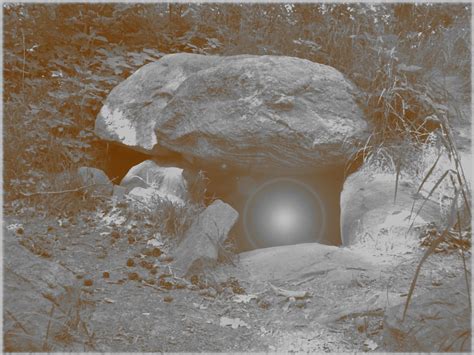 Image result for Alien Companions