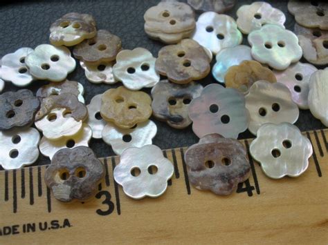 Image result for Large Mop Shell Buttons