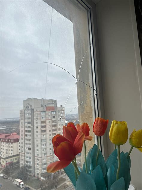 Последствия обстрела Белгорода. Фоторепортаж — РБК