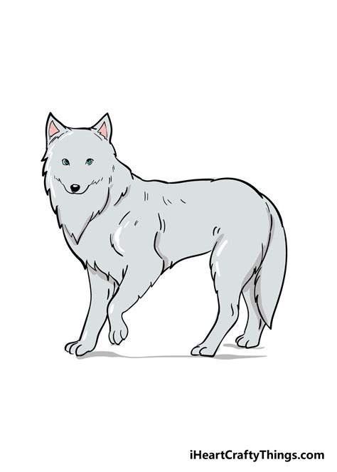 Image result for Arctic Fox Drawing Tutorial