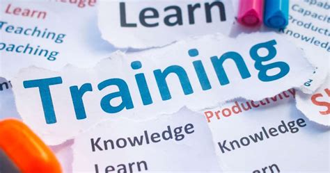 Training Check In 的图像结果