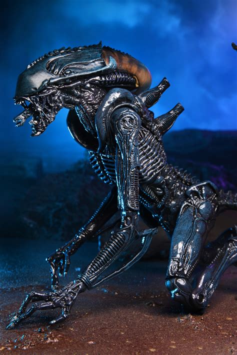 Image result for Alien vs Predator Action Figures