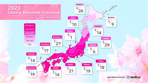 2023 Cherry Blossom Forecast (Part 2): The Earliest Bloom in Fukuoka ...