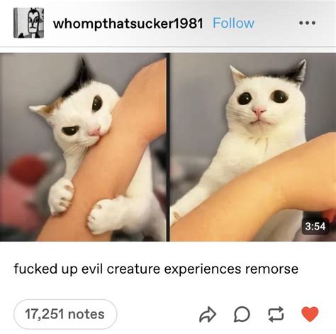 Image result for Morality Lesson Lyrics