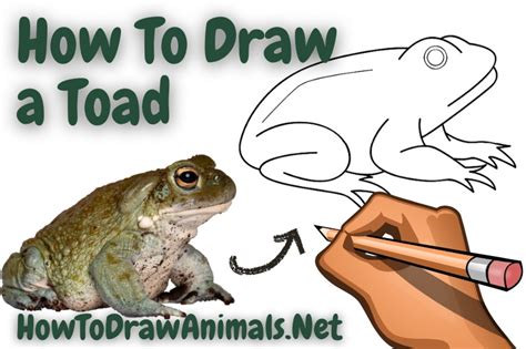Image result for How to Draw 8-Bit Toad