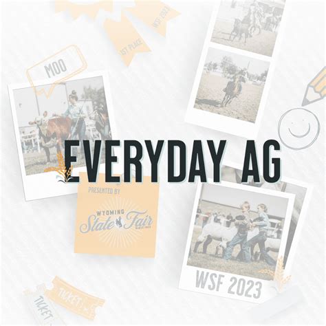 Everyday Ag Audio Tour Sheep - Wyoming State Fair