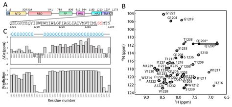 Secondary Structures of the Transmembrane Domain of SARS-CoV-2 Spike ...