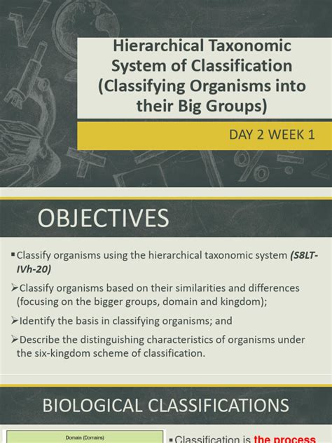 Image result for System of Classification