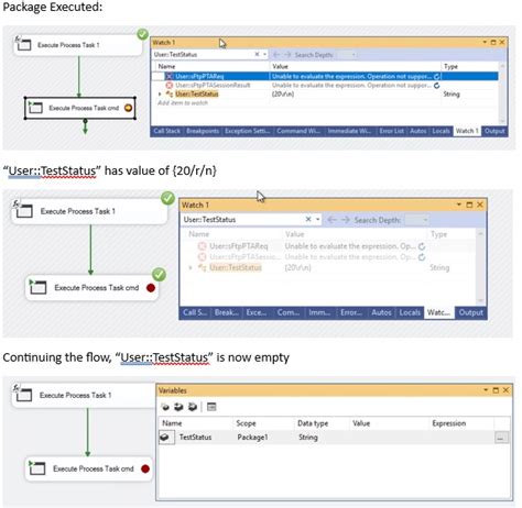 Execute Process Task in SSIS 的图像结果