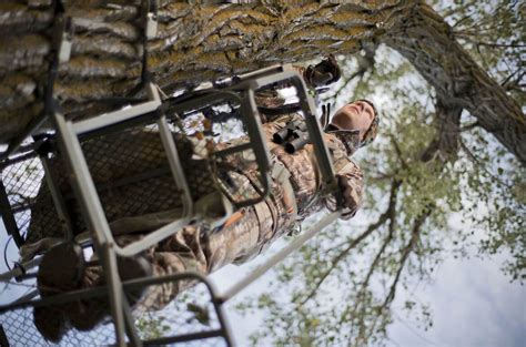 Image result for Using Summit Climbing Tree Stand