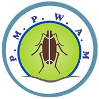 Wood Borer Pest Control in Mumbai with 100% Safe by Ecofriendlypests