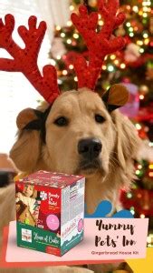 ArtCAKetect - #Creation #Recreation #Celebration Yummy Pet's Inn Ready ...