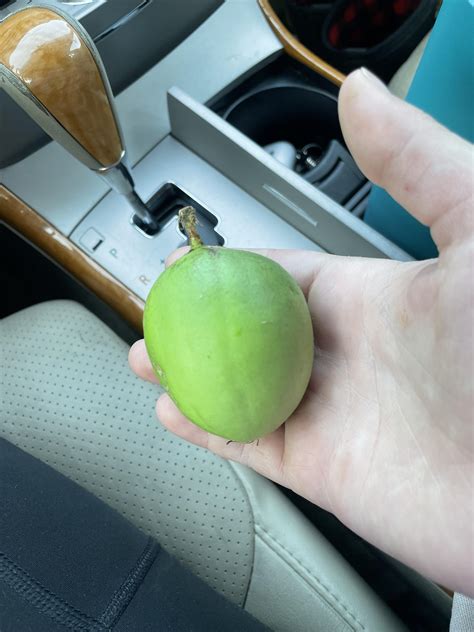 Got this off a wild Passion flower/maypop vine, how do you know when ...