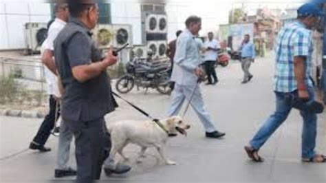 जयपुर में दो स्‍कूलों को फ‍िर बम से उड़ाने की म‍िली धमकी, सूचना पर ...