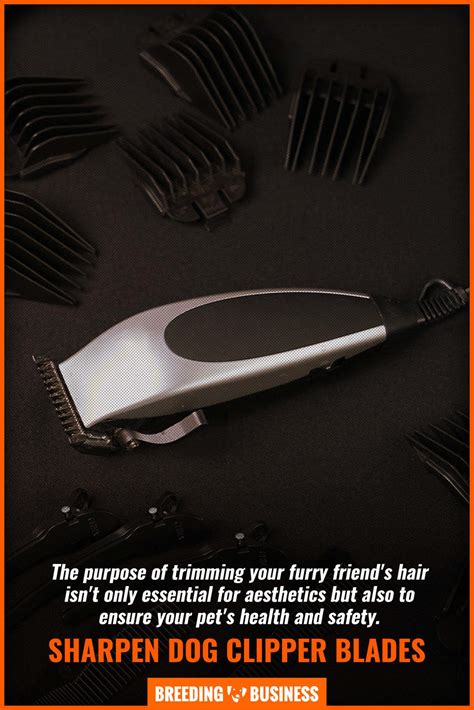 Sharpening Dog Clippers – How To, When, Why & FAQ