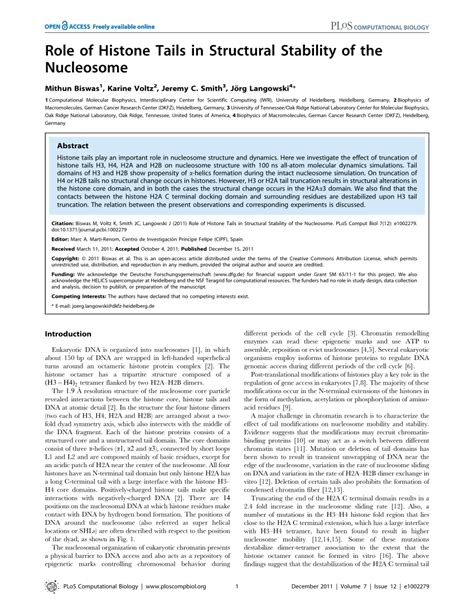 Image result for Modification of Histone Tails