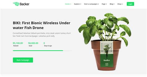 Blossom Spa Pro Theme [Review and Download]