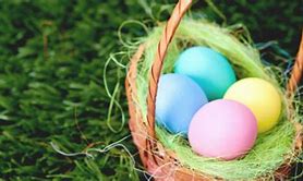 Image result for Easter Wild Animals