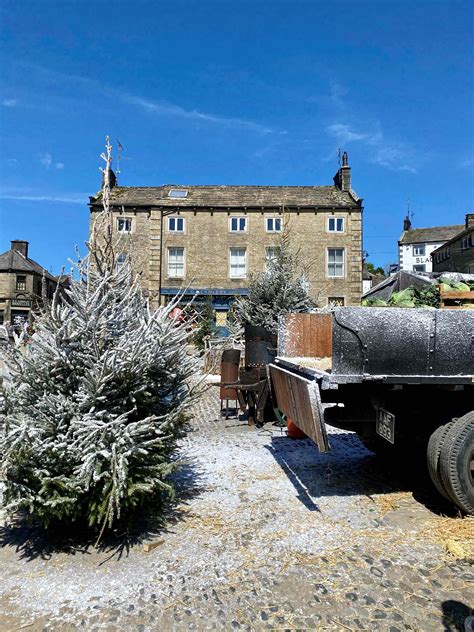 All Creatures Great  的图像结果