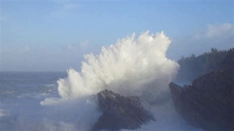 Image result for shore acres waves