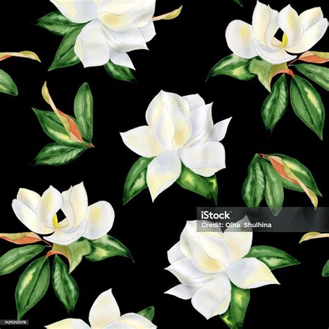 White Magnolia Flowers Watercolor Seamless Pattern Flowering Tree ...
