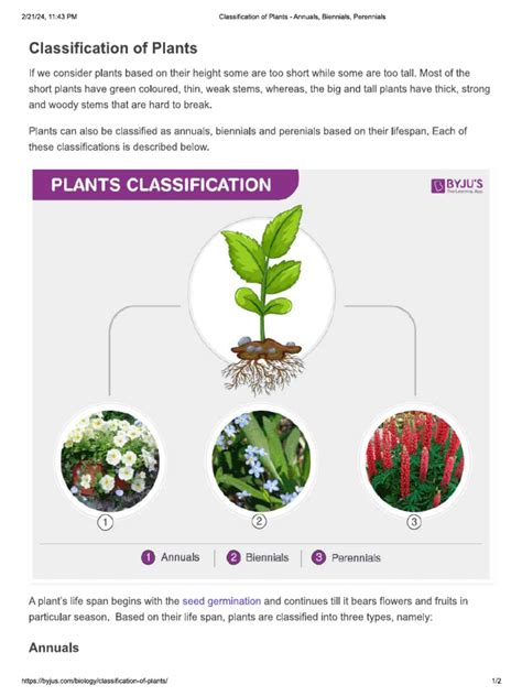Plant Classifications Explained 的图像结果