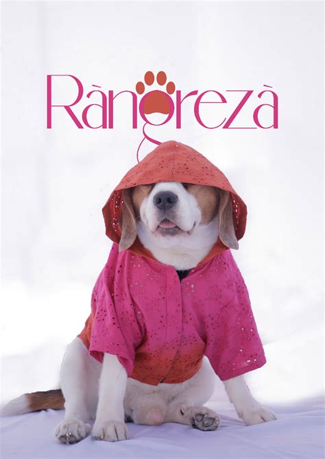 Rangreza Paw-wear – Siva