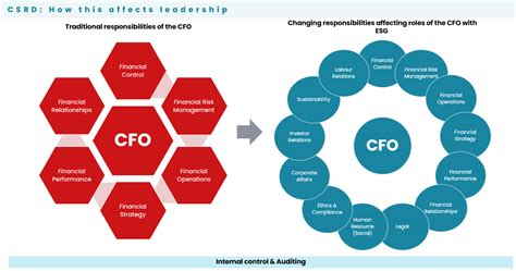 What Does a CFO Do?