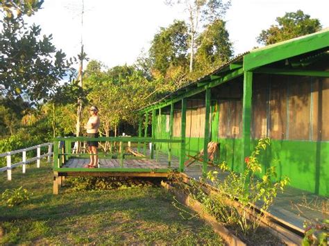 LAGO LODGE (Amazon River, AM, Brazil) - B&B Reviews & Photos - Tripadvisor