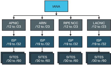 IPv6 Address Allocation 的图像结果