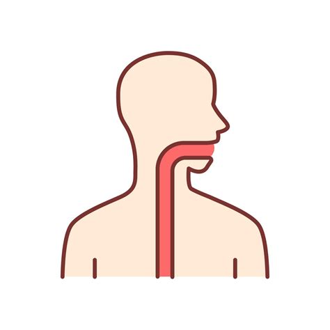 Healthy throat color icon. Oral cavity, pharynx and esophagus in good ...