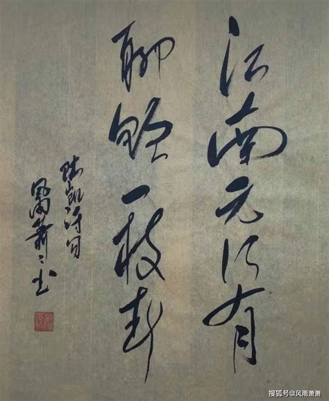 [杀破狼] Sha Po Lang — Sending a Brunch of Plum Blossom (聊赠一枝春)