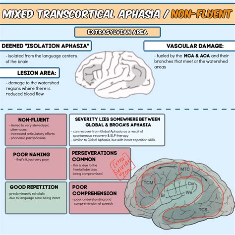 Aphasia - Vanna Sherwood