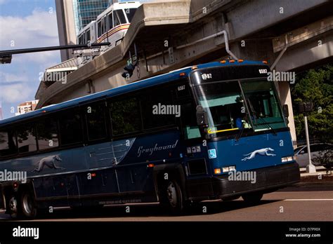 Greyhound Bus Schedule Jacksonville Florida - LRPJJK