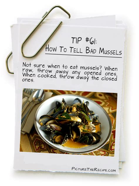 Image result for Is Mussel Is Bad When Is Open