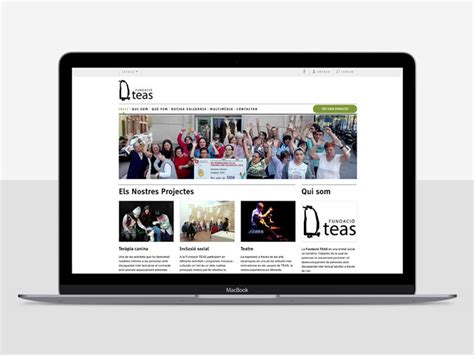 Pàgina web Fundació TEAS - Dommia