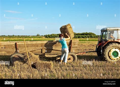 Small Acres 的图像结果