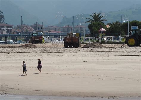 Los Presupuestos del Principado incluyen ayudas para la limpieza de ...