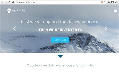 Snowflake Inc. Snowflake Data Storage 的图像结果