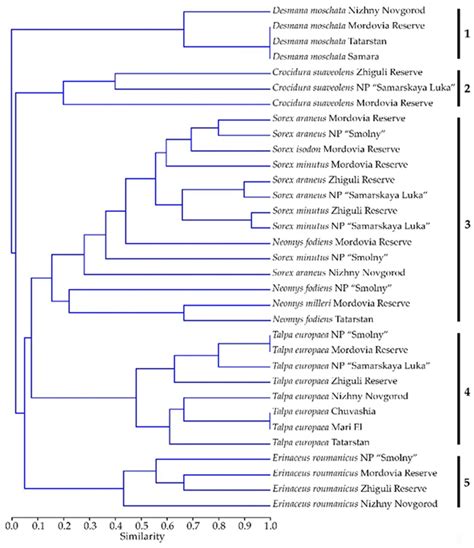 Diversity of Helminths of Insectivorous Mammals (Mammalia ...