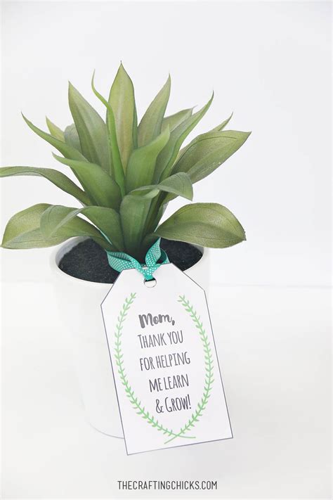 Free Printable Mother’s Day Gift Tags – A Thoughtful Touch for Mom’s ...