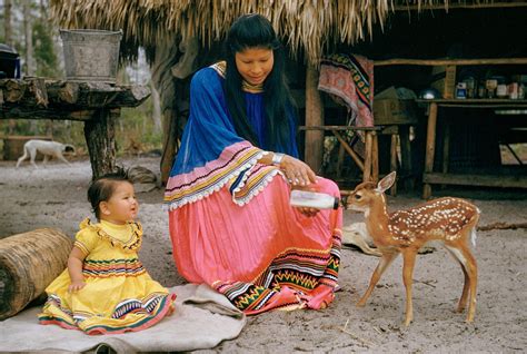 Southeastern Us Indian Tribes