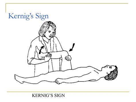 PPT - Unit 5 Meningitis PowerPoint Presentation, free download - ID:604002