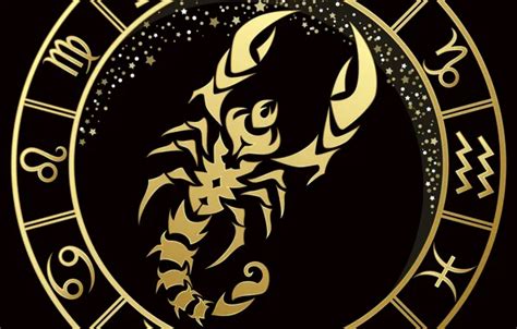 Wallpaper Scorpio, black background, zodiac sign, gold stripe for ...