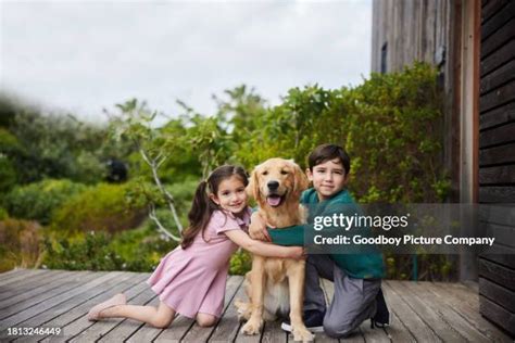 Sis vs Bro Dog 的图像结果