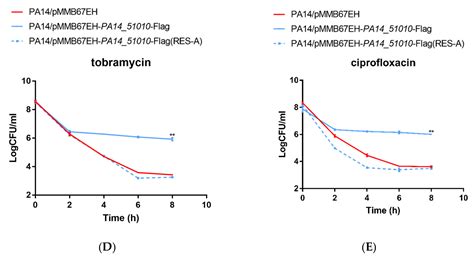 Identification of a Toxin–Antitoxin System That Contributes to ...