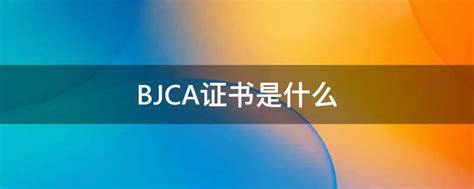 北京数字认证股份有限公司协同签名系统通过IPv6 Ready Logo认证_产品