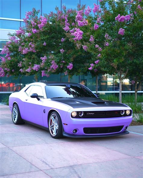 Purple and Black Dodge Challenger