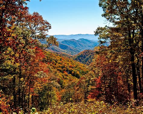 70+ Free Appalachian Mountains & Appalachian Images - Pixabay